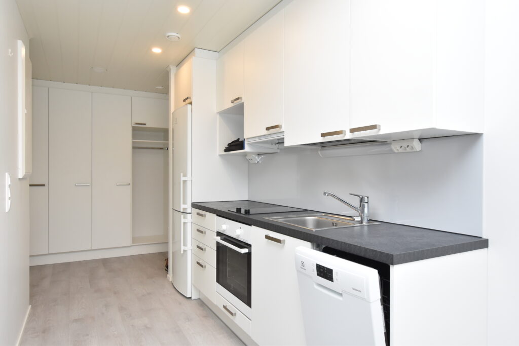 Kuva osoitteen Penttilänkatu 60 asunnosta